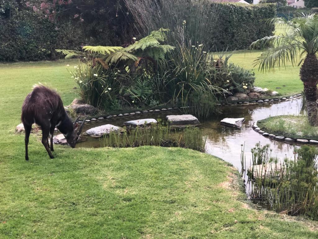 Brenton Lake Holiday Cottages Bagian luar foto