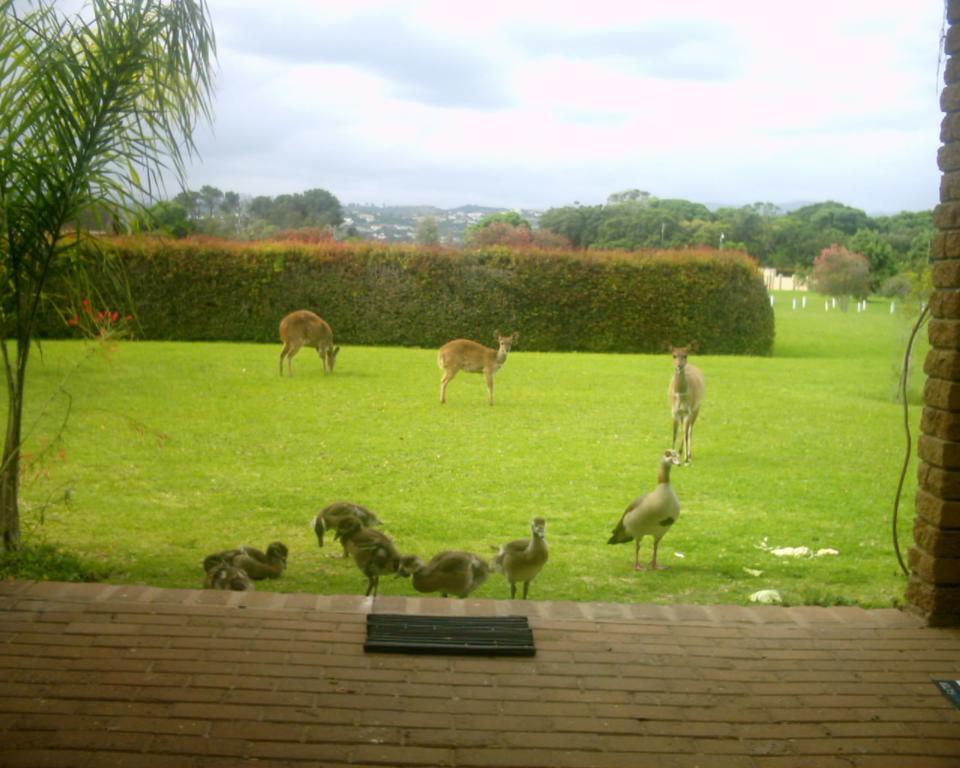 Brenton Lake Holiday Cottages Bagian luar foto